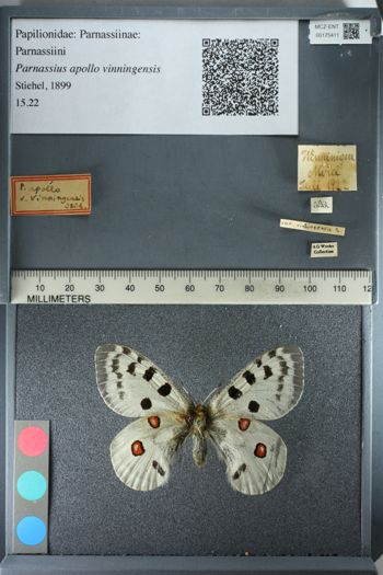 Media type: image;   Entomology 175411